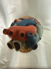 Vintage Denoyer-Geppert Anatomical Heart With Stand, Flaps Open