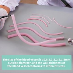 2PCS Vascular Microvascular Model Anastomosis Suture Practice Training Mult Size