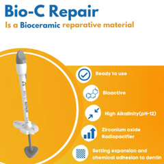 Angelus Bio C Repair Bioceramic Repair Cement for Endodontic Treatment