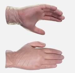 200 Exam Gloves 2 Boxes AMMEX Professional Vinyl Latex & Powder Free Size Large