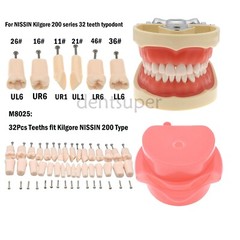 Fit Kilgore NISSIN 200Type Model Dental Typodont Model With 32Pcs Screw-in Teeth