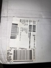 AMMEX VPF62100Vinyl Powder Free Exam Gloves, SMALL, 1 Case 10 Box 100=1000 Qty