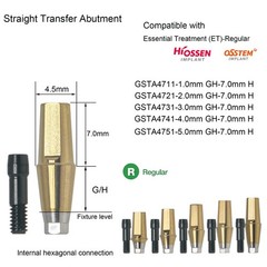 US Dental Ti Standard Straight Abutment W/Replica Screw fit Hiossen ET Regular