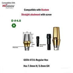 1pc Dental Titanium Straight Abutment Ti Cemented Abutment for Osstem Hiossen TS