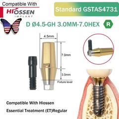 US Dental Straight Abutment Hiossen ET Osstem TS Ti Mini Regular Platform Hex