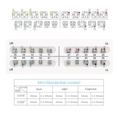 10X Dental Orthodontic Metal Brackets Braces Standard MBT.022 Hooks 345 AZDENT