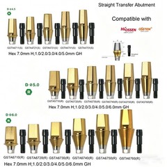 US Dental Ti Standard Straight Abutment W/Replica Screw fit Hiossen ET Regular