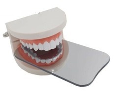 5pcs Dental Orthodontic Intra oral Photo Mirrors Glass Reflector Mouth Mirror