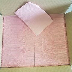 500 Patient Bibs (2+1)Ply Towels DENTAL MEDICAL TATTOO Disposable 18×13 bib