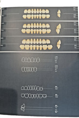 DENTURE TEETH KULZER BASIC6 & BASIC8 Set Germany made.
