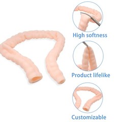 1PCS Large Intestine Model, Simulation Degree Up to 95%, Medical Skill Training