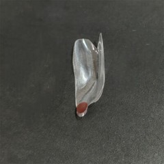 Dental Transparent Matrix Clear Bow Matrice Band Anterior Front Bioclear TorVM