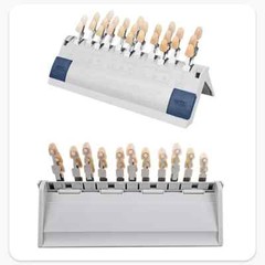 VITA Dental Lab Resin Toothguide 3D Master with Bleached Shade Guide 16/29 Color