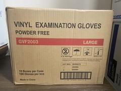 1 Case Of Vinyl Examination Powder Free Large Gloves GVF2003 10 Boxes Of 100