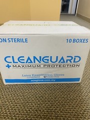 1 CASE OF 10 BOXES, XL Powder Free Latex Gloves. New! X-large, Dental, Medical