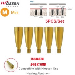 US 5Pcs Dental Healing Abutment Mini/Regular Hiossen Osstem ET TS Ti Implant Cap