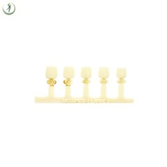 Tooth First Bicuspid Small Dental Temp Crowns Fillings Caps & Dentek Repair Kit