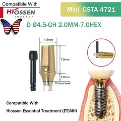 US Dental Straight Abutment Hiossen ET Osstem TS Ti Mini Regular Platform Hex