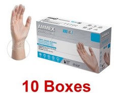 1000 (10 Boxes) AMMEX L Large Professional Vinyl Exam Gloves Latex Powder Free