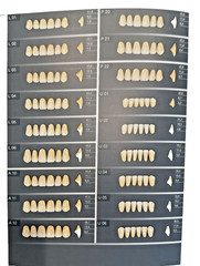 DENTURE TEETH KULZER BASIC6 & BASIC8 Set Germany made.