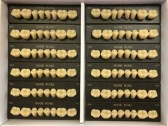 HUGE KAILI Synthetic Polymer False Teeth Lower Posterior SZ34 Full Box 12sheets