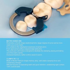 Dental Matrix Bands Ring Sectional Matrice Clamp Fit Palodent V3 Garrison