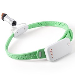 5W Dental LED Cordless Super Bright Lightweight LED High Brightness head-mounted