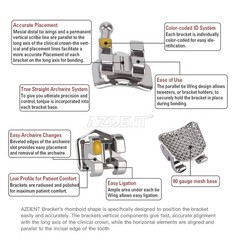 AZDENT Dental Endodontic K-file Stainless Steel Hand Use Files 06#-40# 25mm/21mm