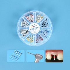 200pcs Dental Quartz Fiber Post Kit 8 Sizes Straight & Screw Threaded Posts Endo