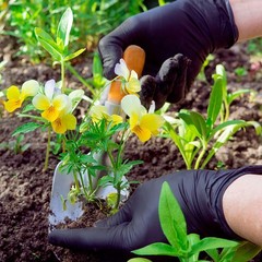 FifthPulse 150 Count Large Biodegradable Gloves – Black Nitrile Disposable