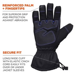 Ergodyne Unisex Adult Extreme Thermal Waterproof Winter Work Gloves Black Large