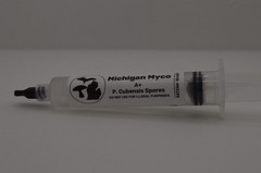 x5 pack of spore syringes 10ml each sterile