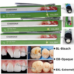 Dental KULZER CHARISMA Composite Resin Diamond Bleach White Light Cure BL BXL OB