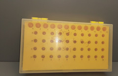 Flipper Microtube Rack/ Reversible/ yellow/clear lid/assorted slot sizes