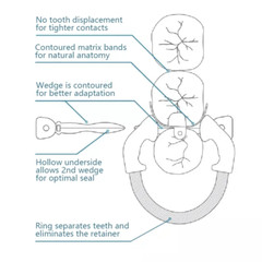 Dental Titanium Ring Sectional Matrix Band System Fit Palodent V3 Garrison Clamp