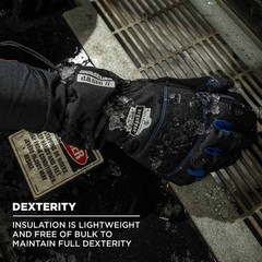 Ergodyne Unisex Adult Extreme Thermal Waterproof Winter Work Gloves Black Large