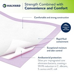 Halyard Premium Disposable Bag Of 10 Heavy Absorbency Moisture Control