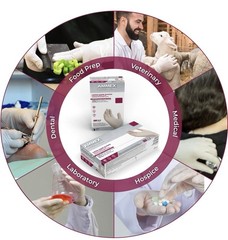 AMMEX White Latex Disposable Exam/Medical Gloves 4 Mil, Powder Free S Size Only