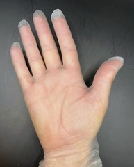 Medical Examination Gloves MEDIUM Flex Vinyl Latex Free Powder Free BOSMA 100 Ct