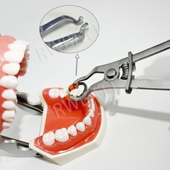 Dental Matrix Bands Ring Sectional Matrice Clamp Fit Garrison Palodent V3 System