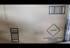 200-Pack Biohazard Bags 6″x9″ Econo-Zip Specimen Transport 1.7mil 3 Wall + Pouch
