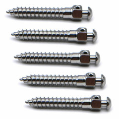 10PC Dental Orthodontic Screws Mini Implants Micro Screws Titanium TAD US STOCK