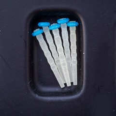 Dental Fiber Post Glass Quartz Teeth Restorative Root Canal Pins 1/1.2/1.4/1.6mm