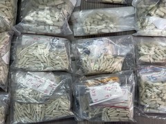 Large Lot of 4,300 + Genuine Columbia T-860 Typodont Ivorine Teeth Dentoform
