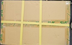 TAIWAN ADVANCED NANOTECH 056 CSM01 301 TAN BEAD 96 DEEP WELL PLATE BOX OF 50
