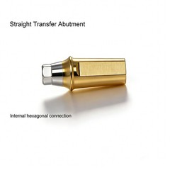 US Dental Ti Standard Straight Abutment W/Replica Screw fit Hiossen ET Regular