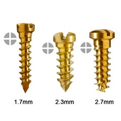 SK Surgicals Titanium Emergency Screws